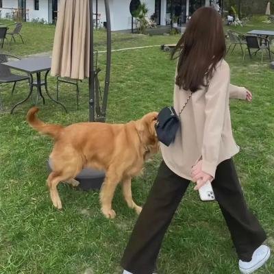 轻薄莲花